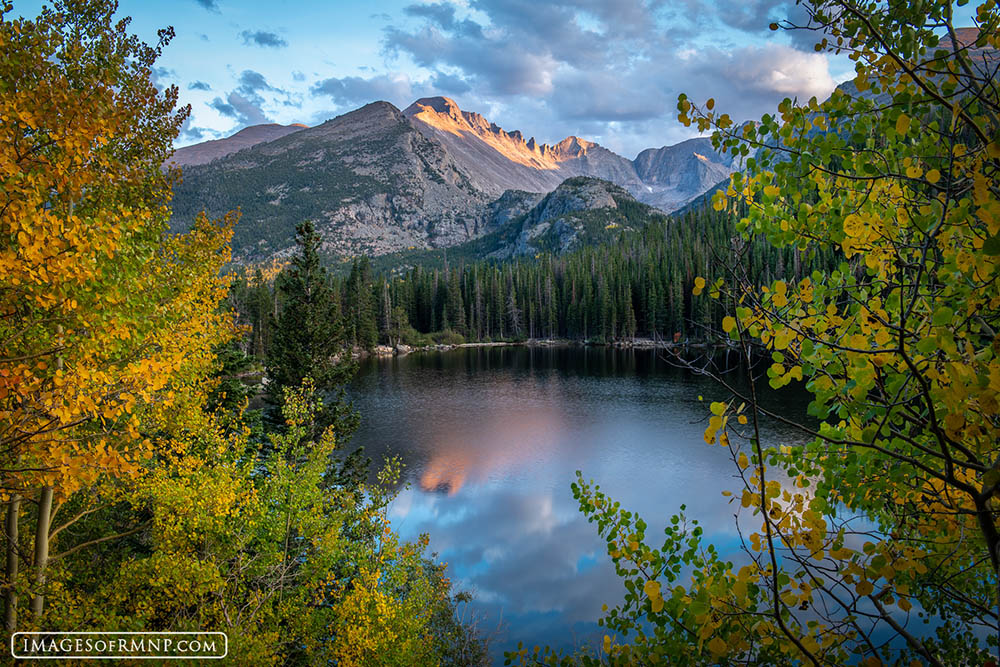 Autumn's Gentle Glow