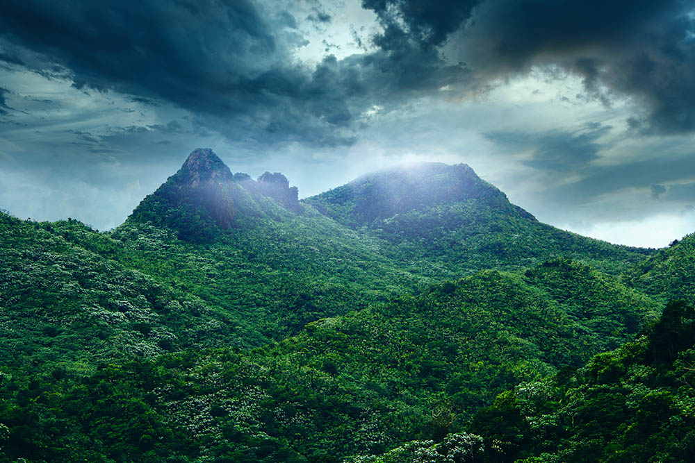 El Yunque National Forest is a forest located in northeastern Puerto Rico. It is the only tropical rain forest in the United States National Forest System.