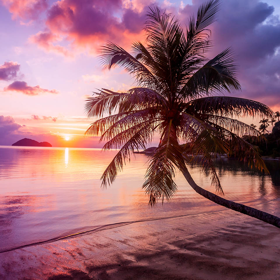Florida beach at sunset