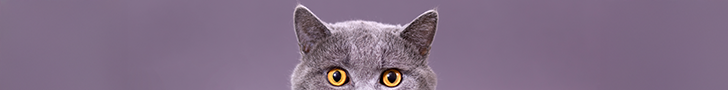Banner4