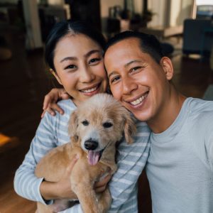Pawfect Companions Team